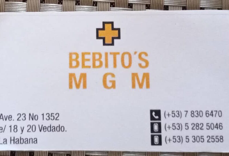 Taller BEBITO'S MGM